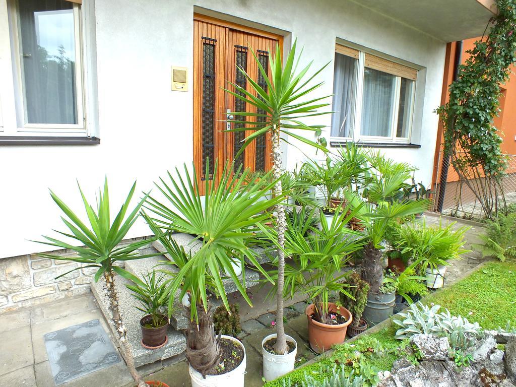 Biba Rooms Karlovac Dış mekan fotoğraf